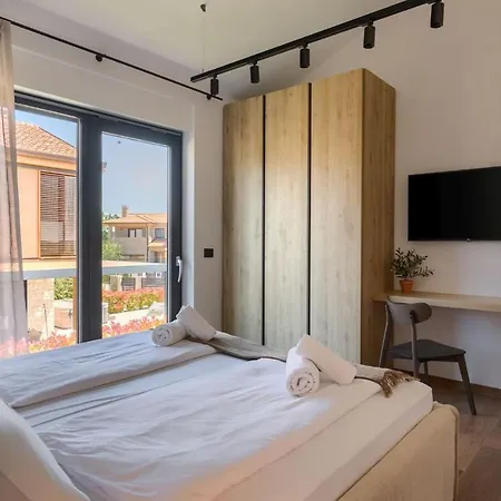 Modern Albona With Pool And Jacuzzi In Porec Villa