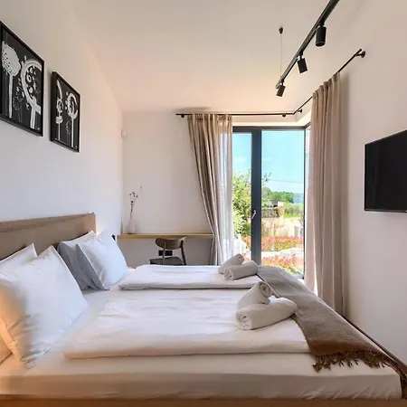 Modern Albona With Pool And Jacuzzi In Porec Kadumi
