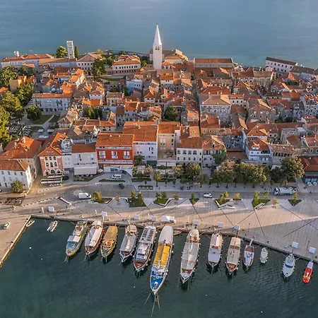 Modern Albona With Pool And Jacuzzi In Porec
